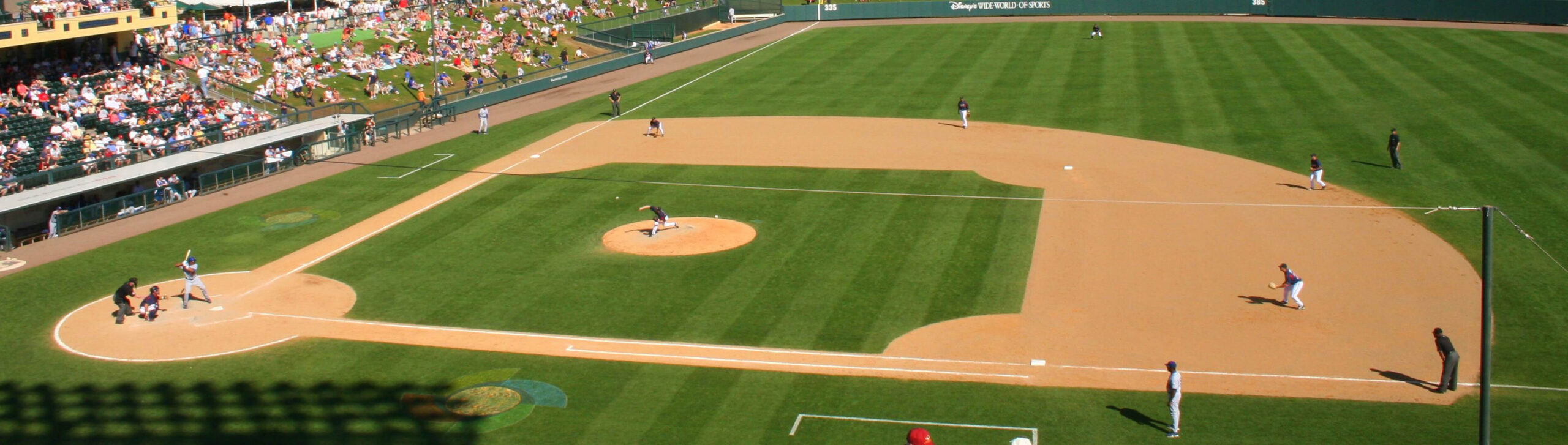 baseball stadium showing the pitch
